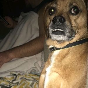 Meet your Posher, Jonathan